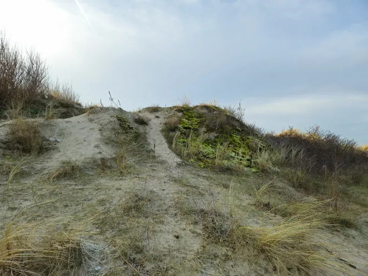 Oostnieuwkerke duinen wandeling in de koude (België)